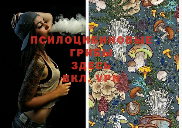 метадон Михайлов
