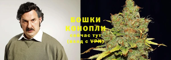 молекула духа Михайловск