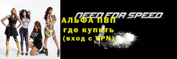 молекула духа Михайловск