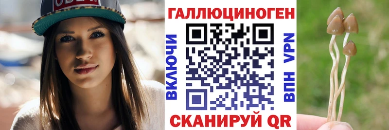 Купить закладки  Новохопёрск  Псилоцибиновые грибы ЛСД 